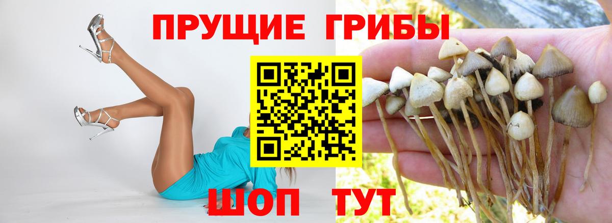 Галлюциногенные грибы мухоморы Саянск